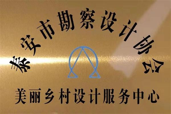 “無人機測繪及攝影”+精英設(shè)計團隊 助力美麗鄉(xiāng)村振興(圖3)