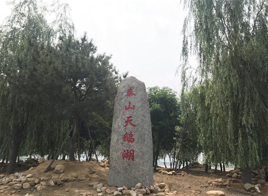 天鵝湖風(fēng)景區(qū)（泰山）速覽！(圖12)