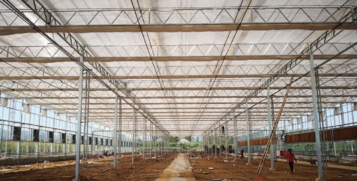 信橋鋼構(gòu)：打卡蒙陰農(nóng)業(yè)溫室大棚、青州黑牛養(yǎng)殖基地！(圖3)