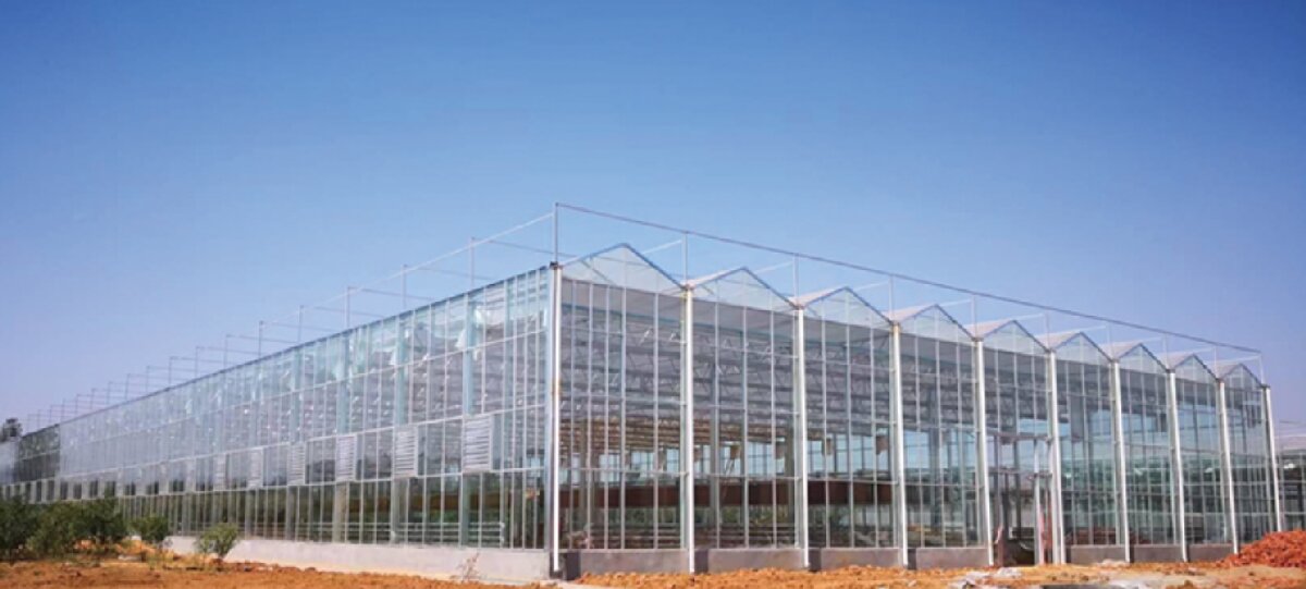 信橋鋼構(gòu)：打卡蒙陰農(nóng)業(yè)溫室大棚、青州黑牛養(yǎng)殖基地！(圖2)